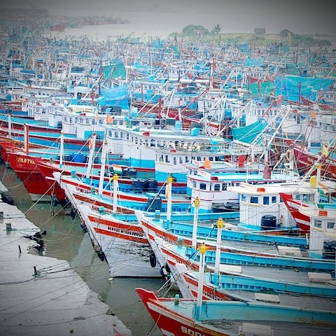 dakke_mangalore_fish_market